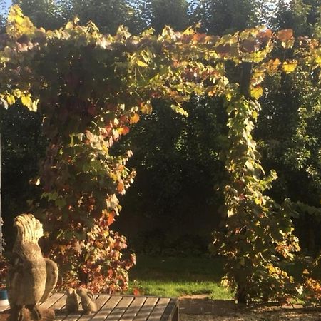A'Meadow Bed & Breakfast Trentham Eksteriør bilde