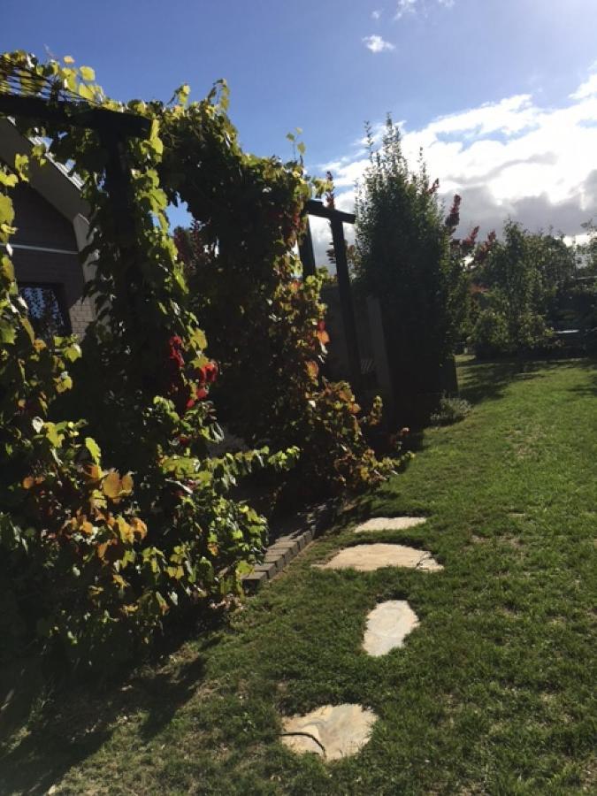 A'Meadow Bed & Breakfast Trentham Eksteriør bilde